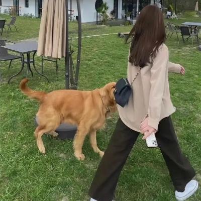 拳精