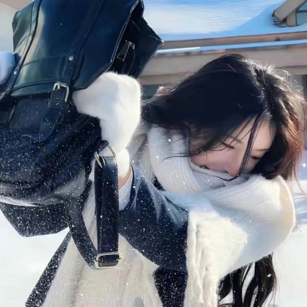 双面骗子虚假警察第二季